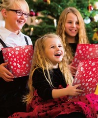 Fosmon Christmas Holiday Gift Self Seal Poly Bubble Mailer 0 2 5 Padded Envelope