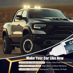 Diamond Black Crystal Pearl~Coat Touch Up Paint for Dodge Ram