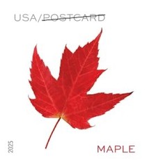United States Postal Service Vibrant Leaves 2025 Postcard Rate 2 Sheets Of 20