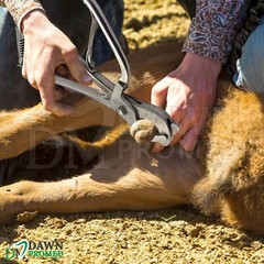 Reimer Emasculator Castration Clamp 12.5″ Double Crush Veterinary Instruments A+