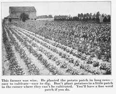 IH International More and Better Potatoes to the Acre Brochure