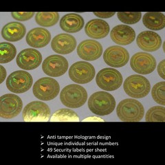 Made in the USA Quality Guaranteed Hologram Tamper Proof Stickers Labels(AvR017)