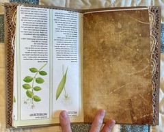 Handmade Junk Journal Natural Inspired