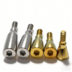 US 5Pcs Dental Healing Abutment Fit ITI Straumann BL/BLT NC/RC