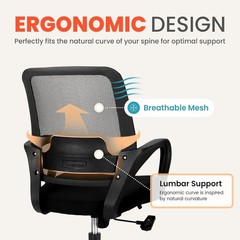 Stylish Swivel Office Chair with Lumbar Support & Soft Foam Seat – Modern Black