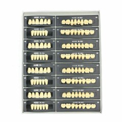 Dental Resin Teeth Complete Denture False Tooth Synthetic Polymer Teeth 112pcs