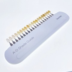 20Color A-D Shade Guide Ivoclar Vivadent Dental Shade Guide A-D 20 IPS Porcelain