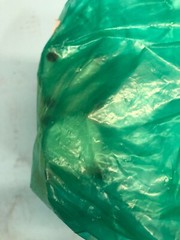 CKD GCAMD40-X0016-02 Valve, 0-0.3 MPa, 0.3-0.5 MPa, Dainippon Screen, 150785