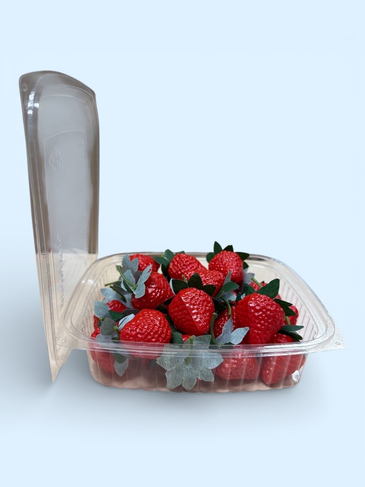 Deli Container Clear 24oz Plastic with/Lid Versa Pak H61WN 250ct