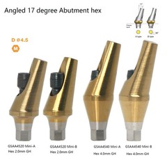 US Dental Titanium Hex A/B 17° Angled Abutment for Hiossen ET Mini Regular Plat