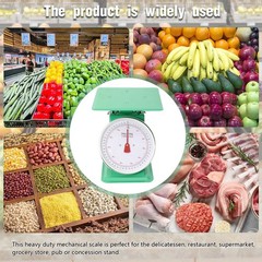 110Lbs Heavy Duty Mechanical Weighing Scale Industrial Food Market Dial Scale
