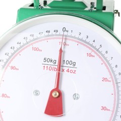 110Lbs Heavy Duty Mechanical Weighing Scale Industrial Food Market Dial Scale