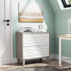 Cindy 2-Drawer White Gray Wood 31.5 In. W Lateral File Cabinet A4/Letter/Legal S