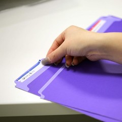BAZIC 1/3 Cut Letter Size Color File Folder 1-Pack, Red/Yellow/Blue/Green