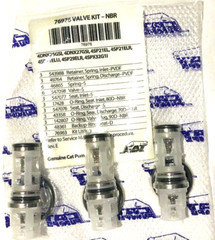 76976 VALVE KIT FOR CAT PUMP 4DNX,4SPX,4SP,4PPX, RSPX, 4SP PRESSURE WASHER