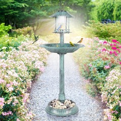 LEADZM Plastic Round Birdbath with Solar Ligh Dark Green