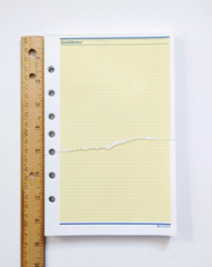 Vintage 1990s AT-A-GLANCE QuickNotes Planner Sheets 49.5 sheets size 5.5″ x 8.5″