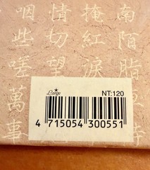 Beautifully Illustrated Chinese Blank Journal CL85301