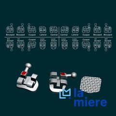 LA MIERE 200PCS Teeth Model Braces, Typodont Brackets, 0.022 MINI MBT