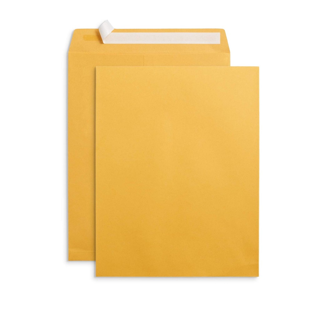 Blue Summit Supplies 100 10” x 13” Catalog 10 x 13 in (100 Count), Kraft