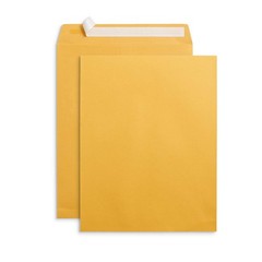 Blue Summit Supplies 100 10” x 13” Catalog 10 x 13 in (100 Count), Kraft