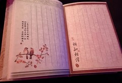Beautifully Illustrated Chinese Blank Journal CL85301