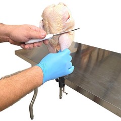 Chicken Cut Up Cone Poultry Deboning Parting Piecing Out Kill Stand Holder USA