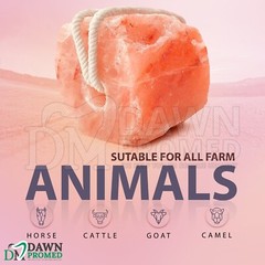 Himalayan Salt Lick Block for Animal Wellness 6.5-8 lbs. 100% Natural Pure Salt