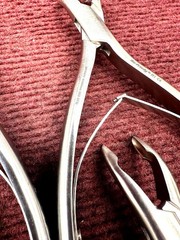 Lot of 6 Pcs Hu-Friedy Dental Forceps Premium Surgical Instruments