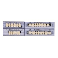 168pc Dental Acrylic Resin Denture 24# A3 Shade False Teeth Full Set Upper Lower