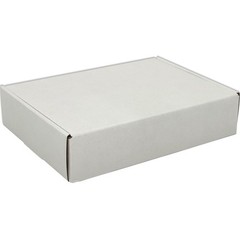 50 Pack 9x6x2 inch White Small Shipping Boxes Mailer Corrugated Cardboard