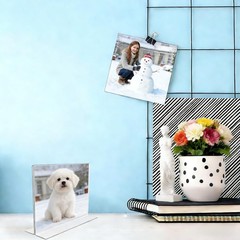 FixtureDisplays® 1PK 7 x 5″ Clear Acrylic Sign Holder for 7X5″,