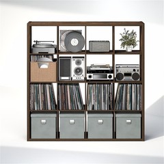 Pemberly Row 16 Cube Vinyl Record Media Storage Organizer in Amber Pine