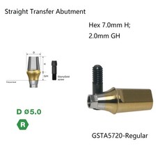 Dental 10Pcs Ti Straight Abutment Hiossen regular conical replica screw 2.0mm GH