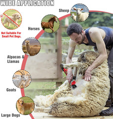 1000W Sheep Shears Electric Farm Livestock Haircut with Blades Professional Anim