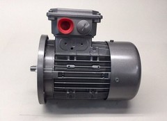 Nord SK-63L/4-CUS-TW Electric Motor 0.25hp 3ph 230/460V 60hz 1680rpm TEFC
