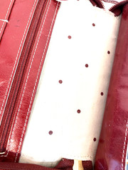 FRANKLIN COVEY Red Leather Zippered Compact Binder