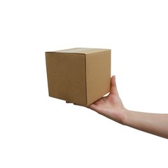 Cardboard Boxes 6 x 6 x 6 inches Small Shipping Boxes, 25 Pack