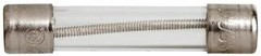 BUSSMANN MDL-1/10 – 1/10 Amp Time-Delay Glass Tube Fuse 250V Ul Listed – 1EA
