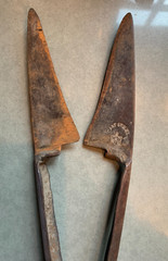 Antique WILKINSON SHEEP SHEARS Hand-Forged Cast Steel Wool Cutter Tool ENGLAND