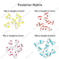 USA Clear Matrix Dental Anterior Posterior Transparent BT Matrices Fit BioClear