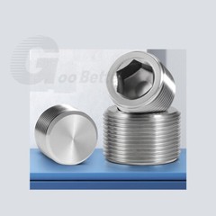 Stainless Steel Internal Hex Male Blanking Plug with BSPP, BSPT and NPT Threads