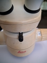 Leica MS5 Stereoscope
