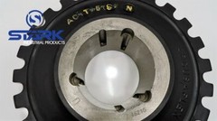 AC-T5.SN Reich Arcusaflex Drive Coupler