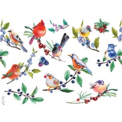 Tervis Watercolor Songbirds Made in USA Double Walled 24 Ounces, Clear