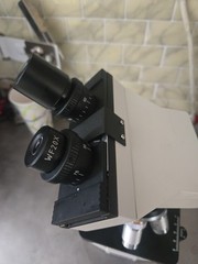 Omax Microscope