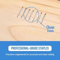 Meite 21GA 1/2 Inch Crown Stainless Steel Upholstery Staples 8016B (10,000 PCS)