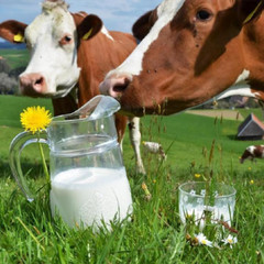 3L Vacuum Milking Machine Dual Head Portable Milker For Cow Sheep Goat With Pump