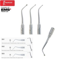 Woodpecker Dental Ultrasonic Scaler Tips EMS UDS Endo Perio Root Canal Scaling