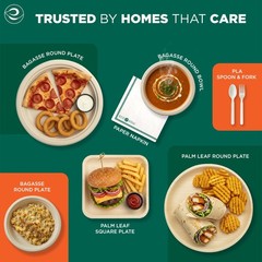 ECO SOUL Compostable Paper Plates 6 Inch, 100 Pack – 6″ [Natural], Natural